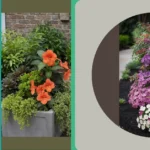 Embrace the Shade: 15 Planters Perfect for Dark Corners