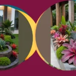 Turning Up the Heat: 18 Tropical Plants to Light Up Your Landscape