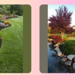 Brighten Up Your Yard with Fun Tree Landscaping Ideas