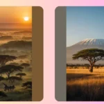 A Photographic Journey: 18 Ideas for Capturing Africa’s Wonders