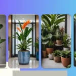 Transform Your Living Room: 20 Indoor Plant Decor Ideas to Try