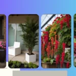 Creative Ways to Transform Your Shade-Loving Plants with Unique Planters