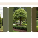 Laugh Your Way to a Gorgeous Tree Base: 15 Unique Landscaping Ideas