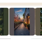 Unleash the Beauty: 20 Enchanting HD Wallpapers for Your Devices