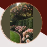 16 Inspiring Ideas for a Stunning Rose Garden Transformation