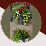 Going Green in the Shadows: 15 Unique Planter Ideas for Shade Lovers