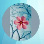 21 Stunning iOS Wallpaper Inspirations You Absolutely Need