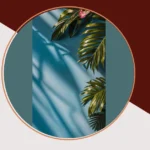 Capture the Moment: 21 Unique Original 4K Wallpaper Ideas for iPhones and iPads