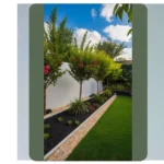 Whimsical Dream Gardens: A Fairytale Come to Life