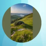 Settle In: Top 17 Dark Aesthetic Wallpapers for a Calm Vibe