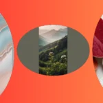 Brighten Your Day: 17 Adorable Wallpaper Ideas You’ll Love