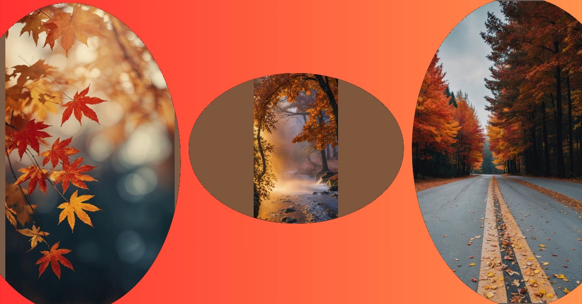 Harvest Time: Elevate Your iPhone with 20 Fall Wallpaper Designs**  
**