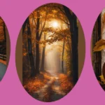 Cozy Vibes Await: 20 Fall Wallpaper iPhone Ideas
