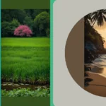 Snap, Click, Smile: 20 Ideas for Stunning Summer Nature Shots