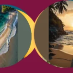 Summer Snapshots: 20 Nature Photography Ideas to Brighten Your Day