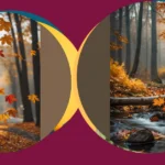 Spooky & Cozy: 20 iPhone Wallpapers for Fall