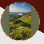 Finding Zen: 17 Aesthetic Wallpapers to Relax Your Mind