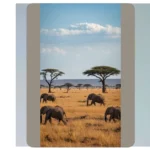 Capture the Wild: 17 Nature Photography Ideas from Africa