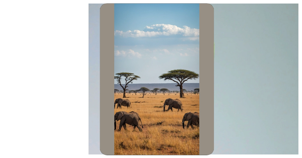 Capture the Wild: 17 Nature Photography Ideas from Africa