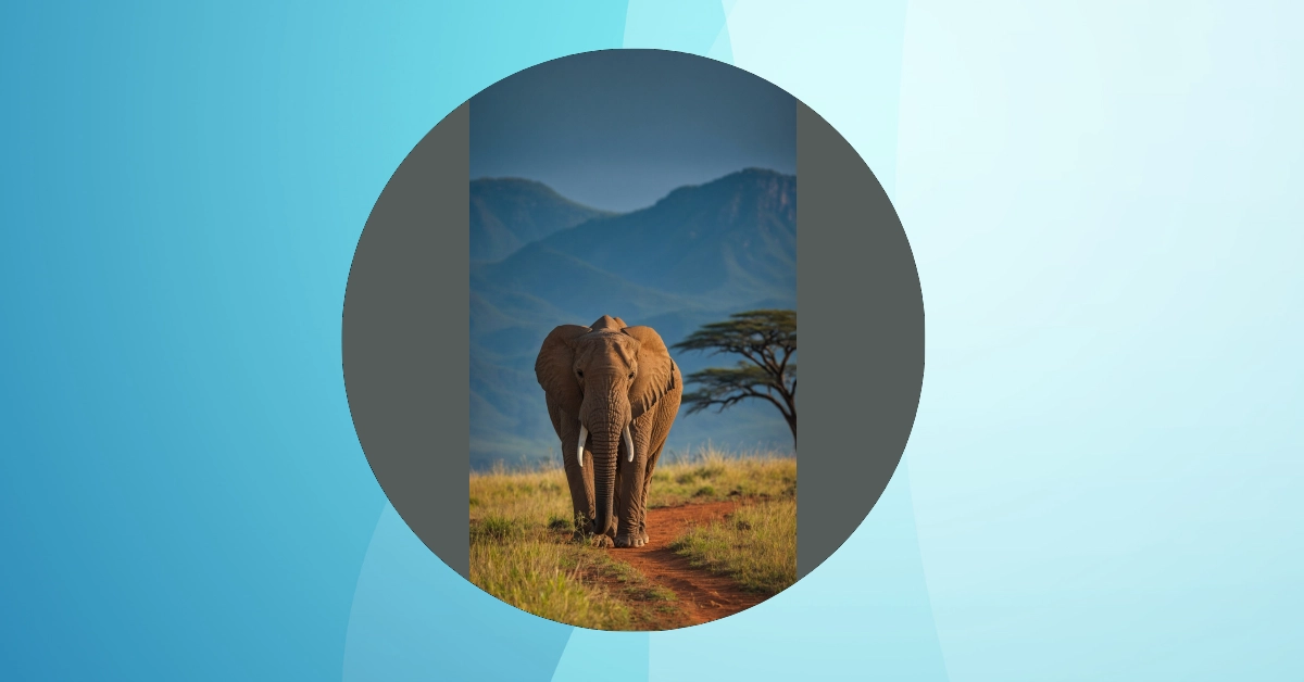 Picture Perfect: 17 Ideas for Captivating African Landscapes