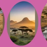 Capturing the Wild: 17 Inspiring Nature Photography Ideas in Africa