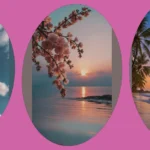 Adorable Aesthetic Wallpaper Ideas for Your Digital Devices