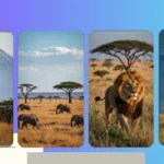 Capturing Africa’s Wild Side: 17 Nature Photography Ideas