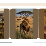 Snap It Like It’s Hot: 17 Africa Nature Photography Ideas