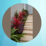 Small Spaces, Big Blooms: 17 Flower Garden Ideas to Maximize Your Greenery