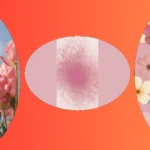 15 Adorable Pink iPhone Wallpaper Ideas for a Girly Touch**  
**