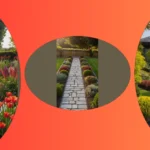 Elevate Your Entrance: 17 Creative Minimalist Landscaping Ideas