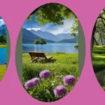 Embrace the Calm: 20 Nature Serenity Wallpaper Ideas