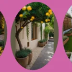 Transforming Tiny Corners: 19 Landscaping Ideas for Small Spaces