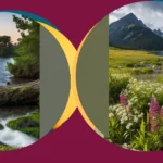 Elevate Your Shots: 21 Nature Photography Ideas to Explore