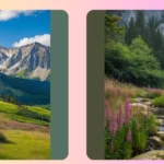 Unleashing Creativity: 21 Nature Photography Ideas to Inspire