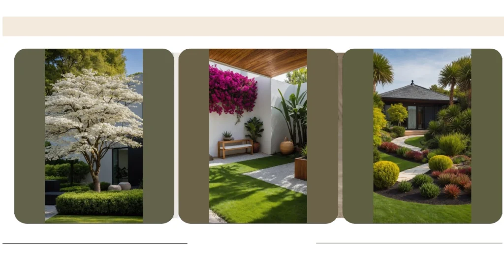 Curb Appeal 101: 17 Modern Minimalist Yard Ideas** ** 31 8 37