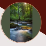 The Ultimate Nature Photography Playbook: 21 Stunning Photo Ideas