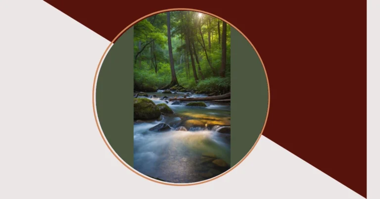 The Ultimate Nature Photography Playbook: 21 Stunning Photo Ideas