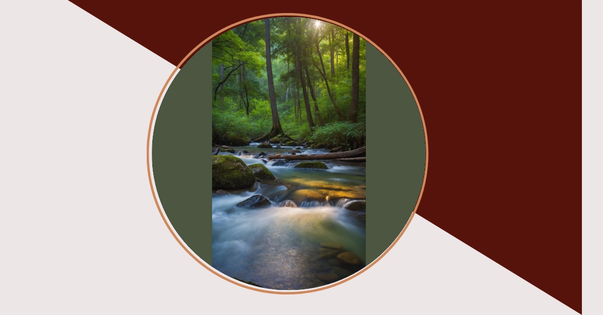The Ultimate Nature Photography Playbook: 21 Stunning Photo Ideas