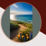 Transform Your Screens with 22 Window Wallpaper Ideas