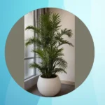 Cozy Corners and Tall Ferns: 16 Indoor Plant Ideas to Amp Up Your Decor