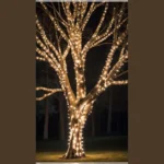 Joyous December: Festive Outdoor Lighting Ideas for Your Front Yard