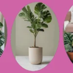 Indoor Jungle: 16 Ideas to Large-Up Your Living Space with Houseplants