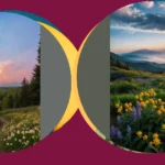 Screen Sanctuary: 19 Nature Wallpaper Aesthetic Ideas for Every Mood