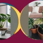 Flourishing Indoor Flora: 16 Ideas for Flowering Houseplants