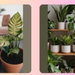 Planting Joy: 16 Plant Ideas to Decorate with Lush Greens