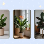 Reimagining Indoor Spaces: 16 Houseplant Ideas for Every Room