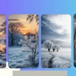 Frosty Wonderland: 20 Wallpaper Ideas for Your Devices