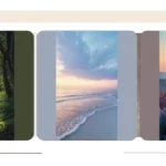 Unleash Your Aesthetic with 19 Nature Wallpaper Ideas