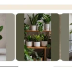 **Leafy Legends: 16 Houseplants to Create Your Indoor Escape**